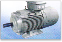 Crane Duty Crompton Greaves Motors